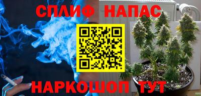 прущие грибы Бузулук